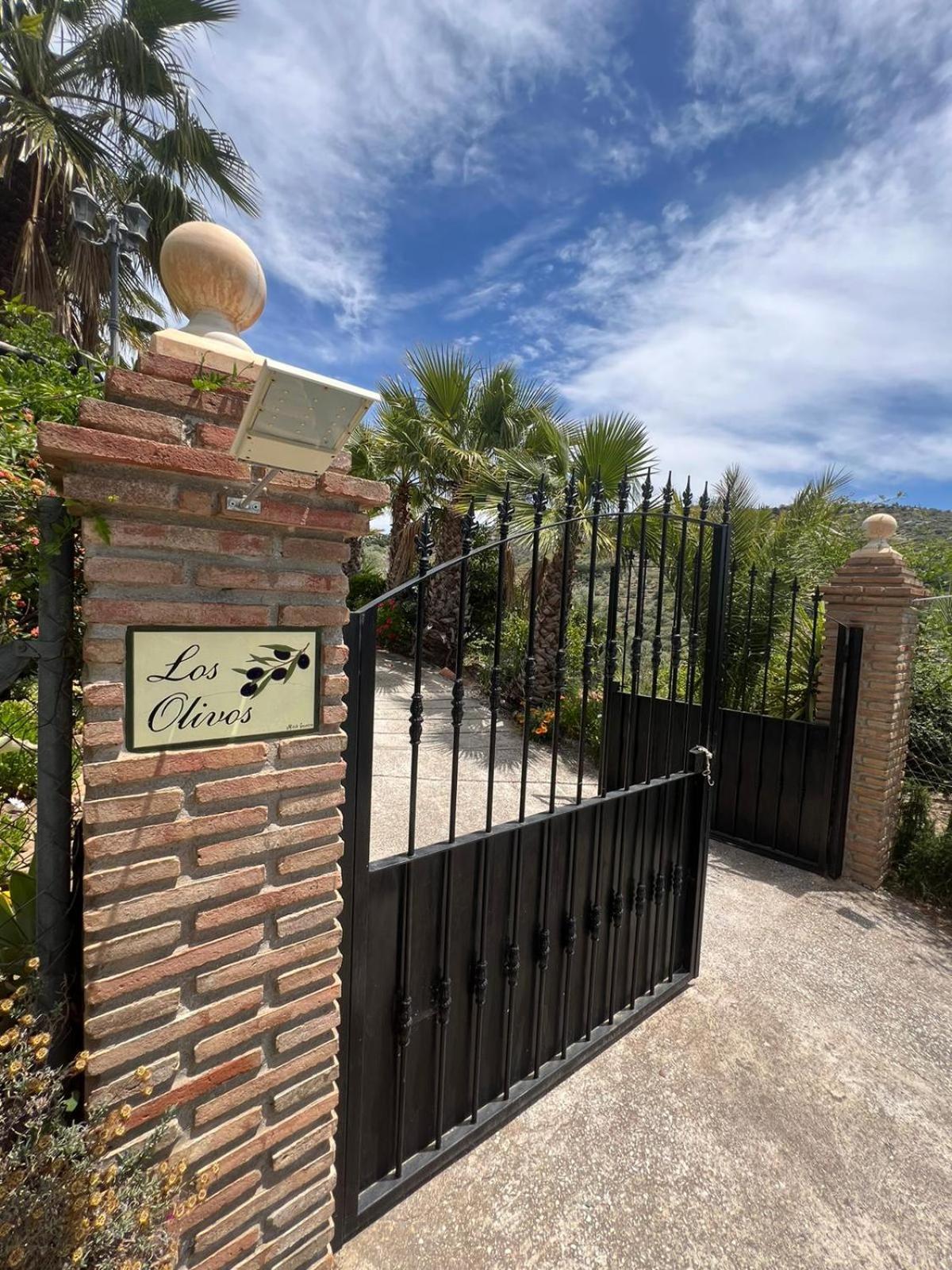 Los Olivos Malaga Bagian luar foto