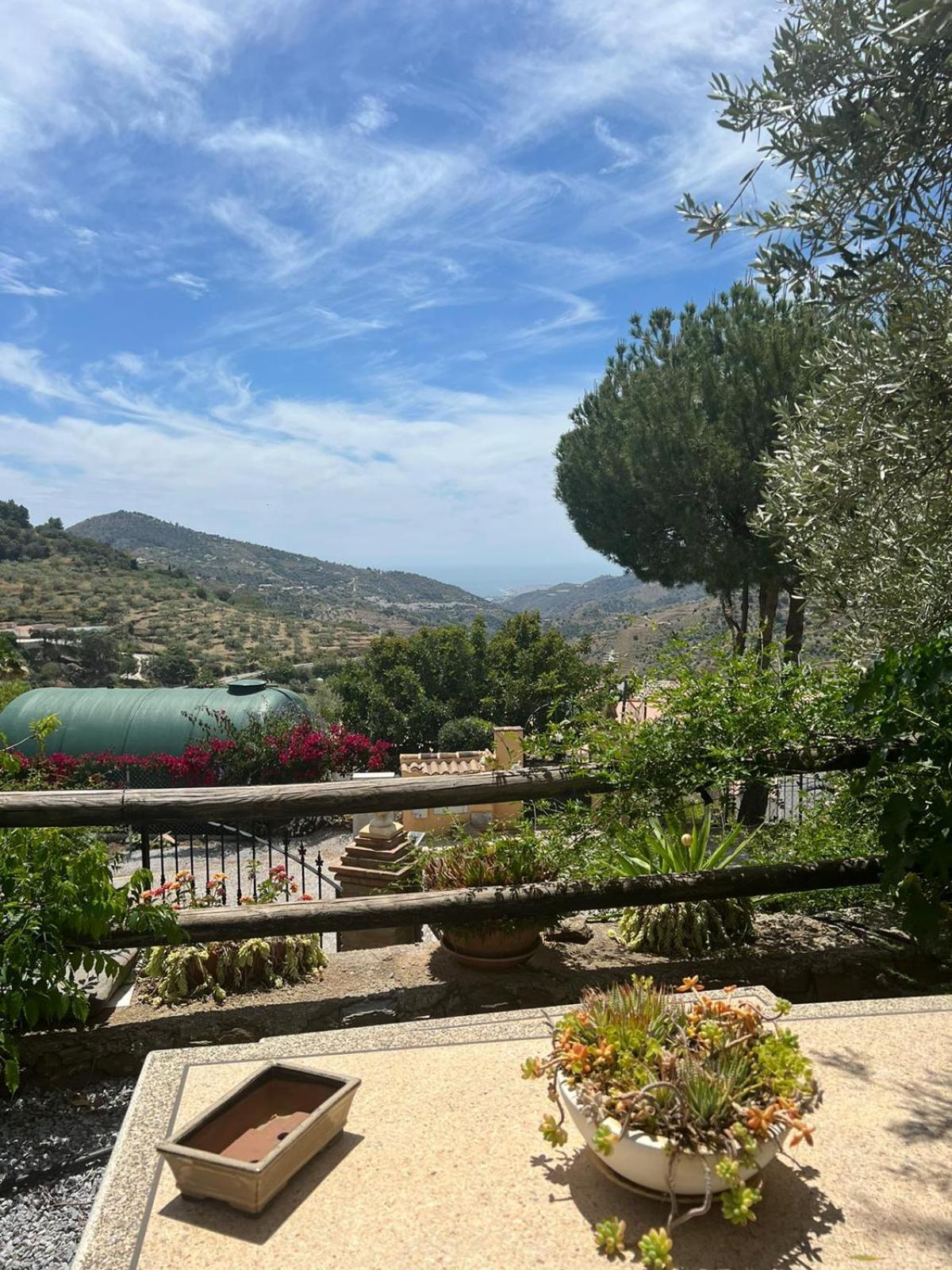 Los Olivos Malaga Bagian luar foto