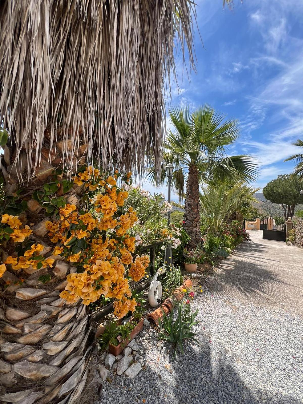 Los Olivos Malaga Bagian luar foto