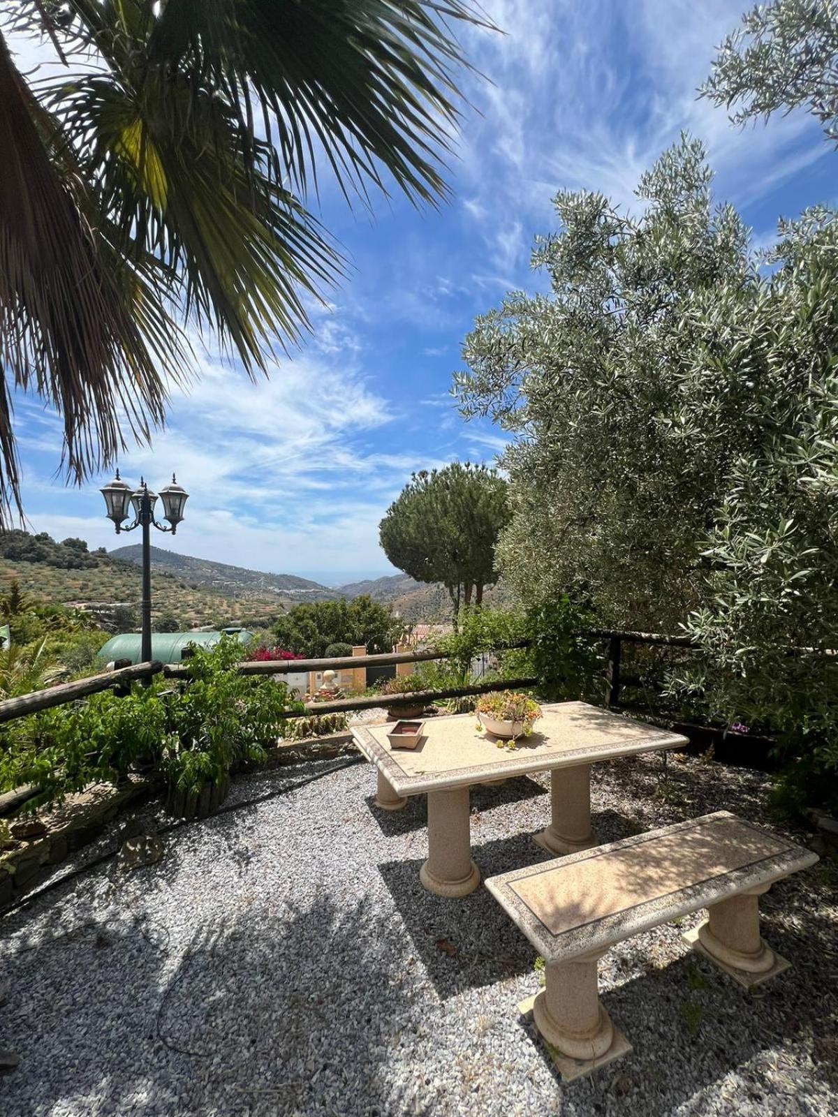 Los Olivos Malaga Bagian luar foto